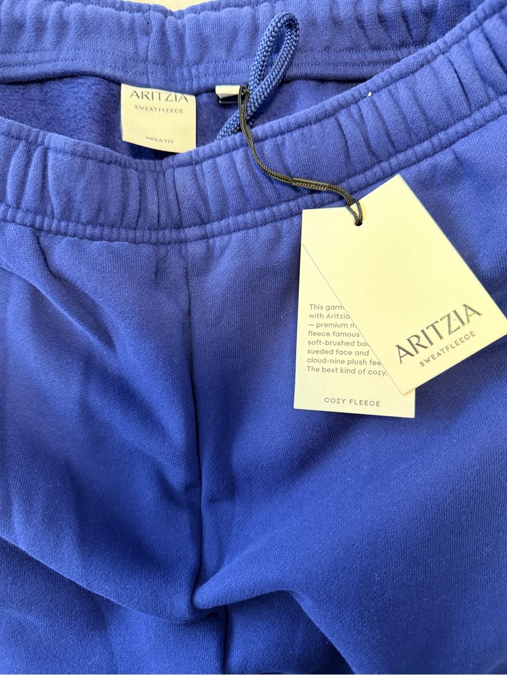 Aritzia Cozy Fleece Track Pants in Bright Blue